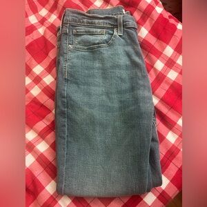 Signature by Levi Strauss Straight Leg Jeans (Unisex 36” Waist)